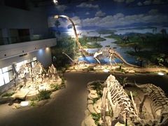 -自贡恐龙博物馆