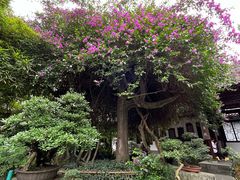-成都杜甫草堂博物馆