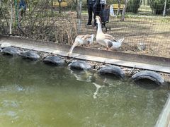 -仁和公园(顺义区)