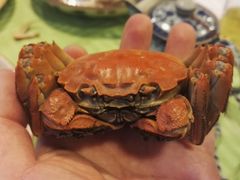 -盛港湾海鲜食府(黄沙店)