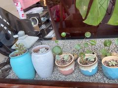 -川匠·睡眠采耳·SPA(九眼桥店)