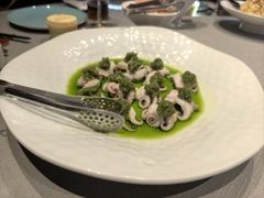 烧椒酱八爪鱼-巴盟人家·内蒙地方菜(华丽家族店)