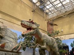 -国家自然博物馆