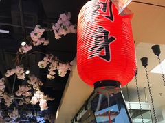 -超级物种·波龙工坊(国贸店)
