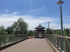 -伊犁河风景区