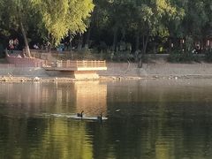 -石家庄市动物园