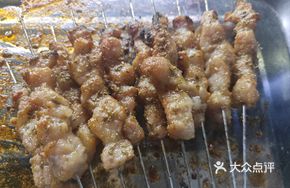 Fresh Meat Skewers