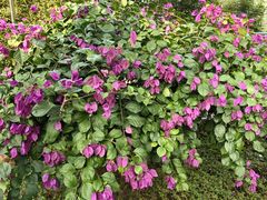 -陈家祠堂-游客中心