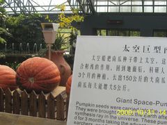 -东部华侨城