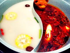 -青瓷火锅料理(西单大悦城店)