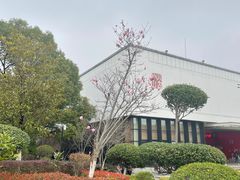 -八大山人梅湖景区
