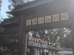 -北海金海湾红树林生态旅游区