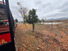 -米果果小镇