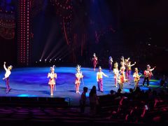 -珠海横琴长隆《卡卡虎奇遇记》