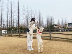 -前小桔亲子创意农场·草莓采摘·露营烧烤