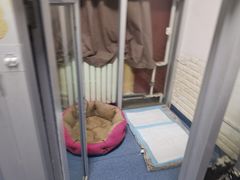 -北京赛佳动物医院