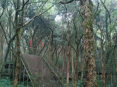 -富春桃源风景区