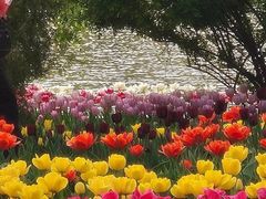 -石家庄市植物园