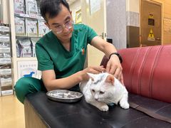 -瑞派天宁宠物医院·猫科·异宠中心