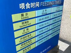 -上海海洋水族馆