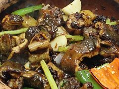 -天宝食坊·啫啫煲大排档(西华路店)