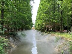 -东平国家森林公园
