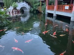 -香麒园·过桥米线·南湖雅宴