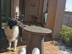 -上海崇明金茂凯悦酒店