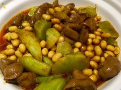 红烧肥肠煲-渝信川菜(工体店)