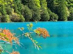 -乡土特色.冷锅鱼.牦牛肉汤锅