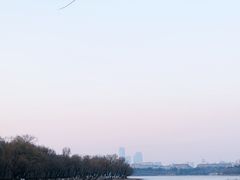 -长春市南湖公园