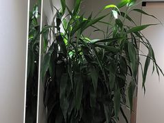 -品大三·经典淮扬菜(大行宫店)