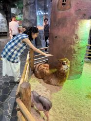 点击看大图 -Zoolung Zoolung动物主题公园(海信广场店)