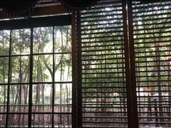 -东方明珠老上海8号餐厅(东方明珠广播电视塔店)