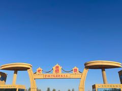 -金塔沙漠胡杨林景区