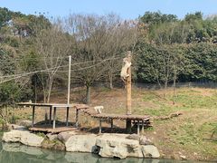 -宁波野生动物园