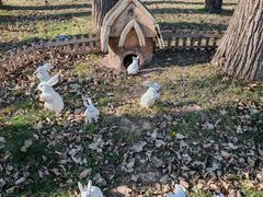 -北京宽沟会议中心