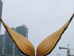-金梦海湾浴场