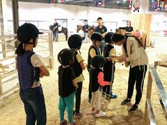 -李振强马术运动推广中心(南城店)