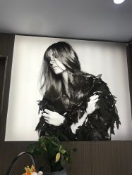 -MODEL SAGA名媛世家