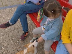 -黑河国家森林公园