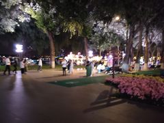 -人民防洪胜利纪念塔