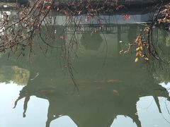 -西园戒幢律寺