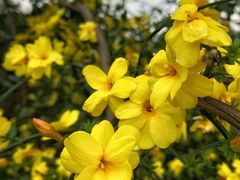 -西南民族大学南区(双流校区)