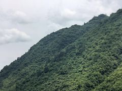 -后柳水乡