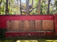 -峨眉山报国寺