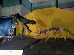 -湖南省地质博物馆