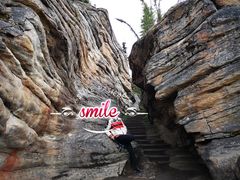 -阿萨巴斯卡瀑布观景点