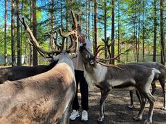 -北极村旅游风景区
