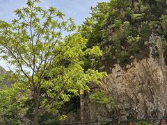 -大连天门山国家森林公园